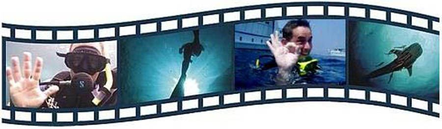 diving-movie